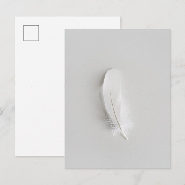 Postal Pluma blanca minimalista (Anverso / Reverso)