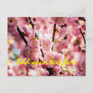Postal Pluma de flores - Paradismo rosa
