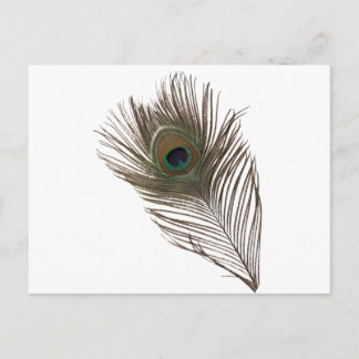 Postal Pluma de pavo real