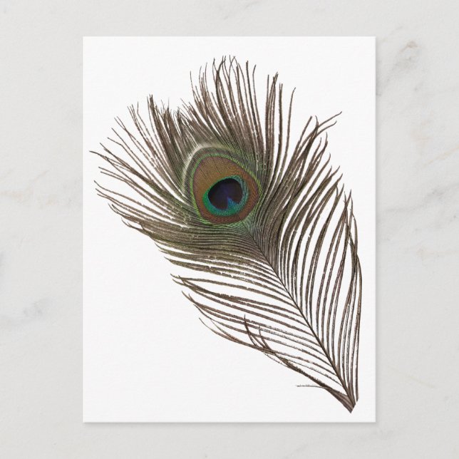 Postal Pluma de pavo real (Anverso)