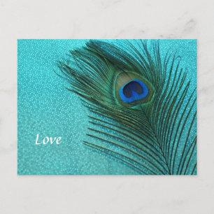 Postal Pluma de pavo real azul de Aqua metálica