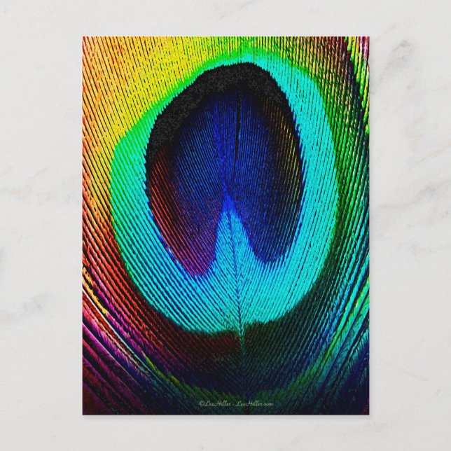 Postal Pluma de pavo real vibrante (Anverso)