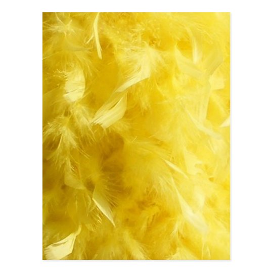 Postal Plumas amarillas grandes