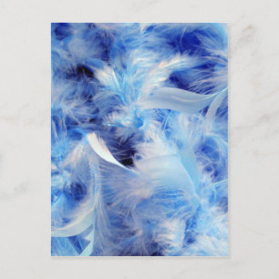 Postal plumas azules