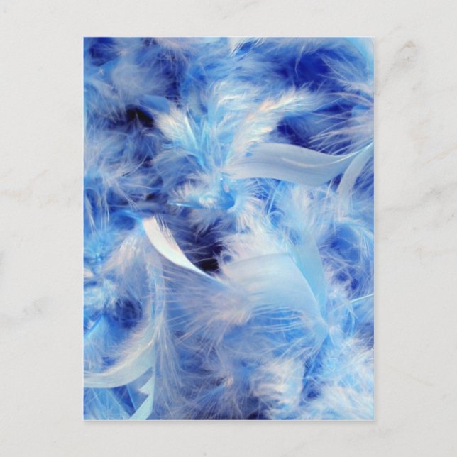Postal plumas azules (Anverso)