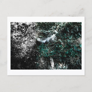 Postal Plumas en el Bosque por Jeffrey H. Thornton: