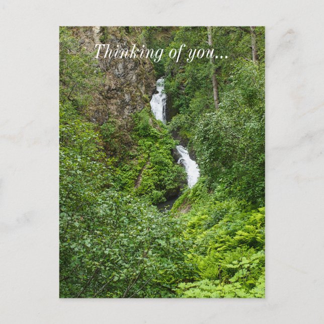 Postal Plush Thunderbird Painterly (Anverso)