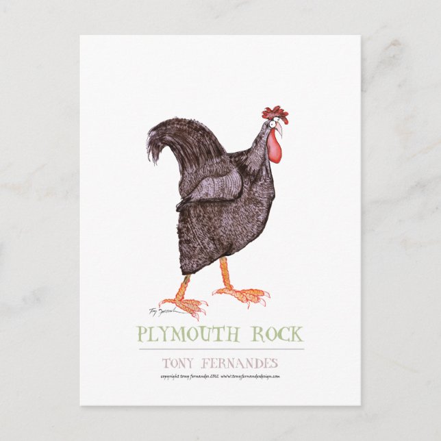 Postal PLYMOUTH ROCK HEN, tony fernandes (Anverso)