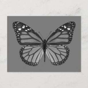 Postal PNG monarca mariposa aislada