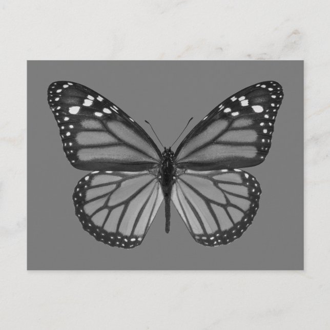 Postal PNG monarca mariposa aislada (Anverso)