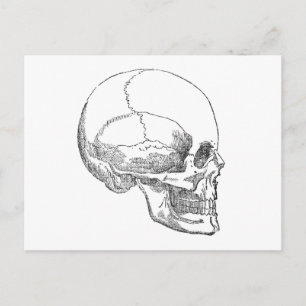 Postal Pobre Yorick Skull