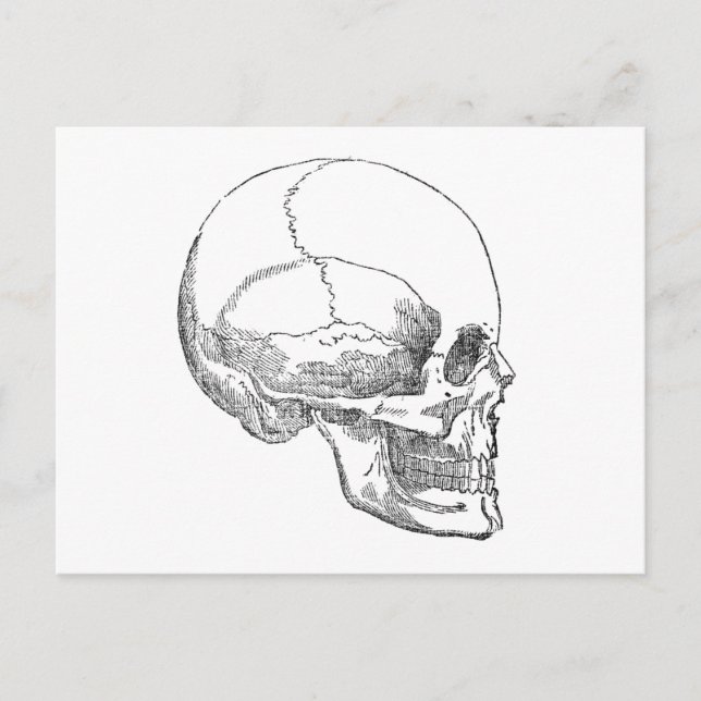 Postal Pobre Yorick Skull (Anverso)
