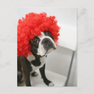 Postal Pocky Postcards