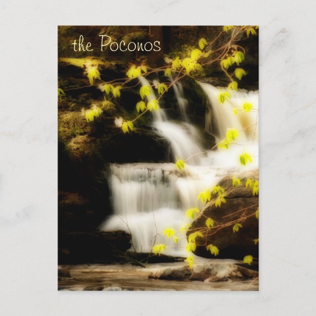 Postal Poconos Springtime Waterfall Scene Postcard (Anverso)