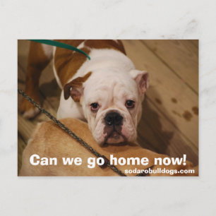 Postal ¿Podemos irnos a casa ahora?