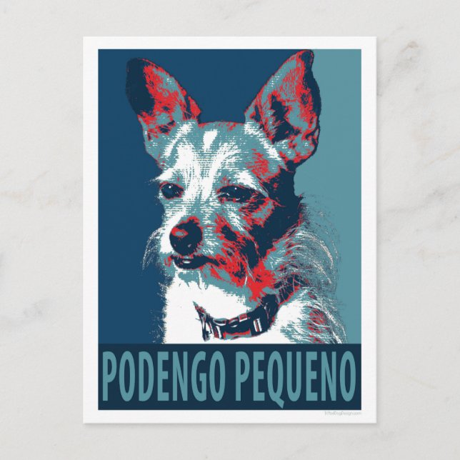 Postal Podengo Pequeno portugués por perros de esperanza (Anverso)