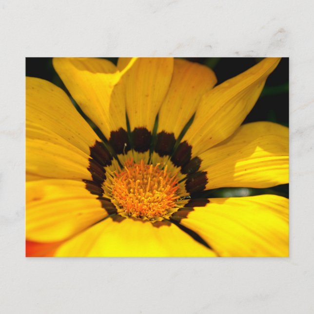 Postal Poder amarillo (Anverso)