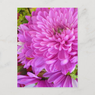 Postal Poder de flor rosa