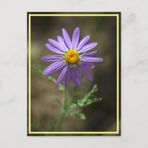 Postal poder de la flor púrpura