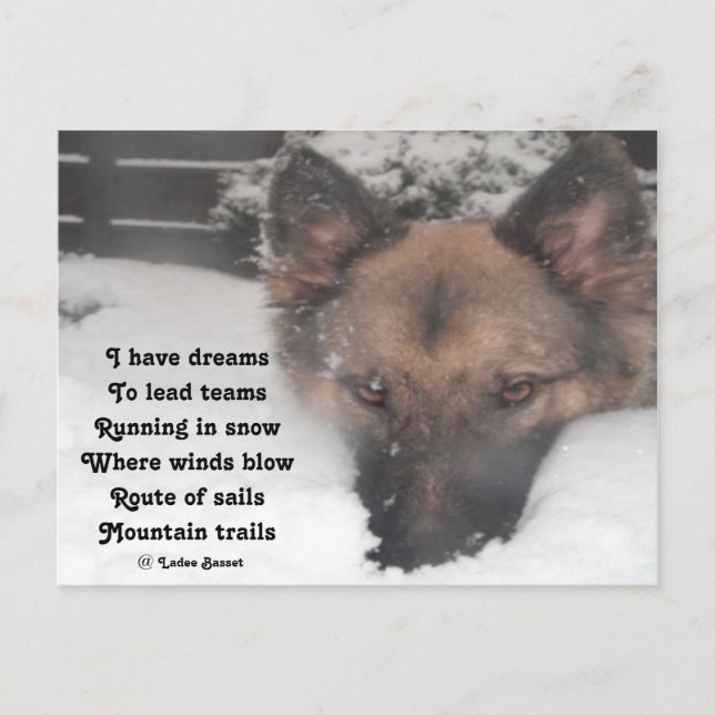 Postal Poema De Postcard I Have Dreams De Ladee Basset (Anverso)