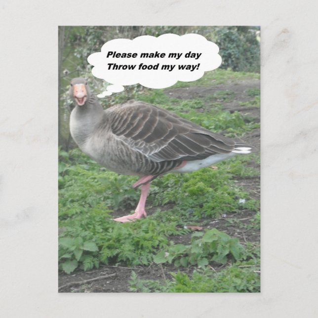 Postal Poema Poem Duck Cita De Ladee Basset (Anverso)