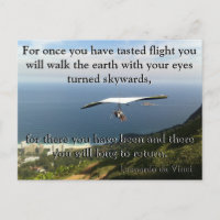 Poema Volador Da Vinci 🚁 Presupuesto Especial ✨