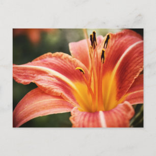 Postal Poesía de primavera