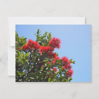 Postal Pohutukawa Postcard 2