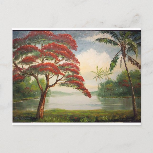 Postal Poinciana Real (Árbol Flamboyante) (Anverso)