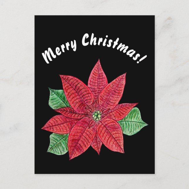 Postal Poinsettia - Merry Christmas Postcard - Black (Anverso)