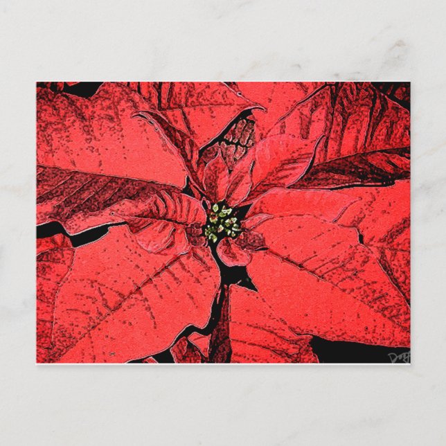 Postal Poinsettia roja (Anverso)