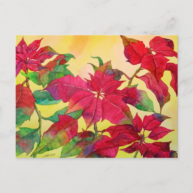 Postal Poinsettias Postcard (Anverso)