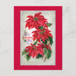 Postal Poinsettias Postcard