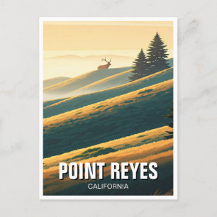 Postal Point Reyes National Seashore Elk