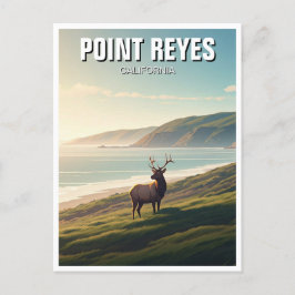 Postal Point Reyes National Seashore Elk
