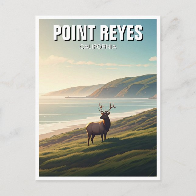 Postal Point Reyes National Seashore Elk (Anverso)