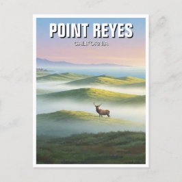 Postal Point Reyes National Seashore Elk