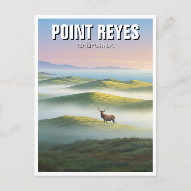 Postal Point Reyes National Seashore Elk (Anverso)