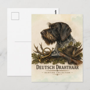 Postal Pointer Alemán de Pelo Cargado – Colección de Caza