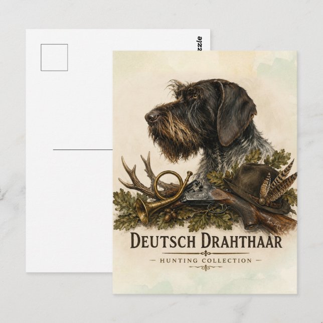 Postal Pointer Alemán de Pelo Cargado – Colección de Caza (Anverso / Reverso)