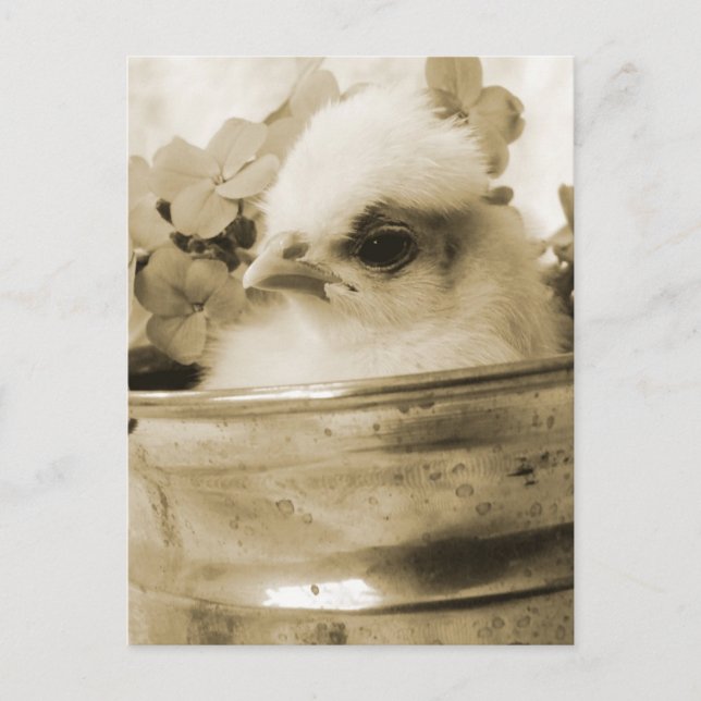 Postal Polaco en Sepia (Anverso)