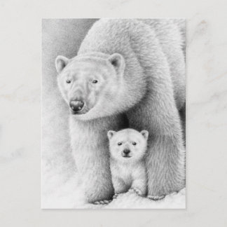 Postal Polar Bear y Cub