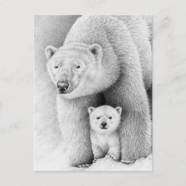 Postal Polar Bear y Cub (Anverso)