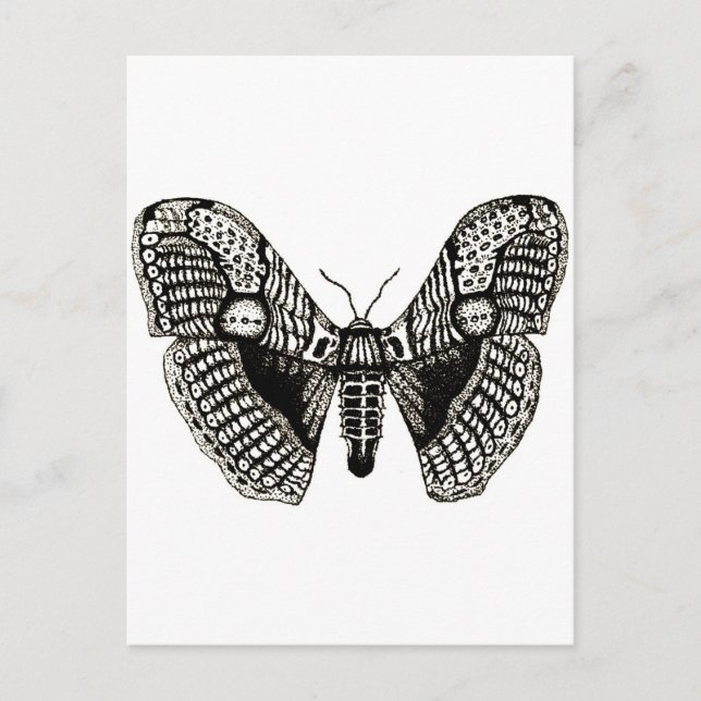 Postal polilla (Anverso)