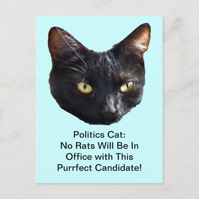 Postal Politics Cat No Rats Will Be In Office (Anverso)