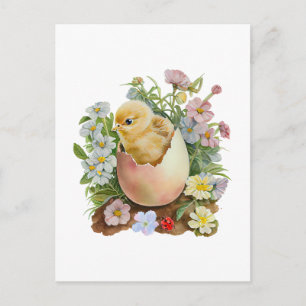 Postal Pollito Adorable en el Huevo con Flores de Acuarel