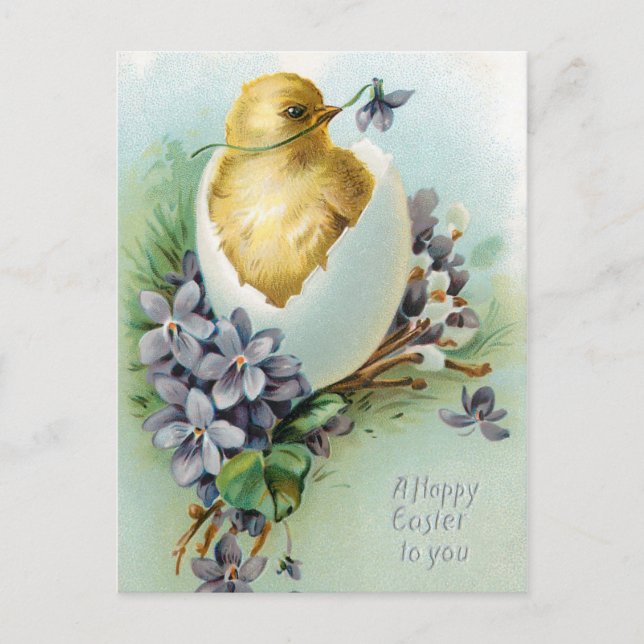 Postal Pollito Vintage y Felices Pascuas (Anverso)