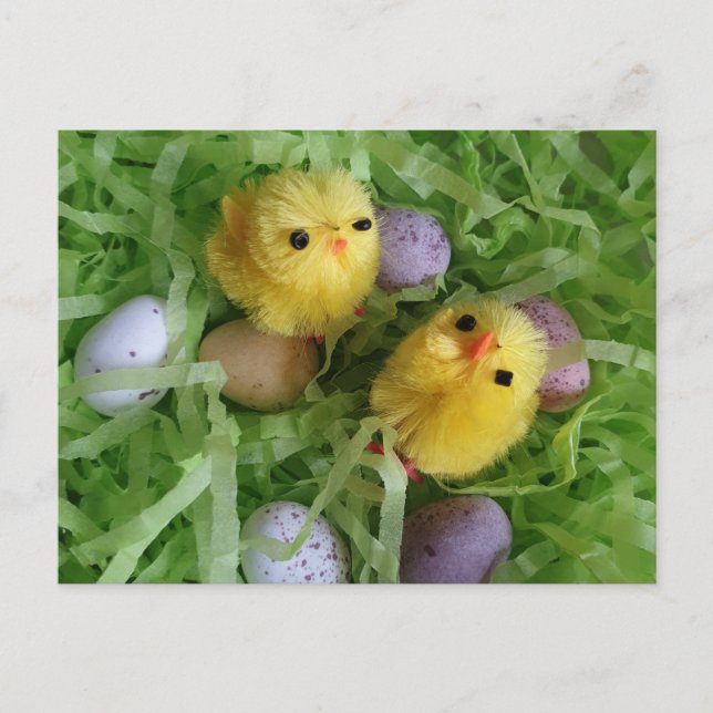 Postal Pollitos y Huevos (Anverso)