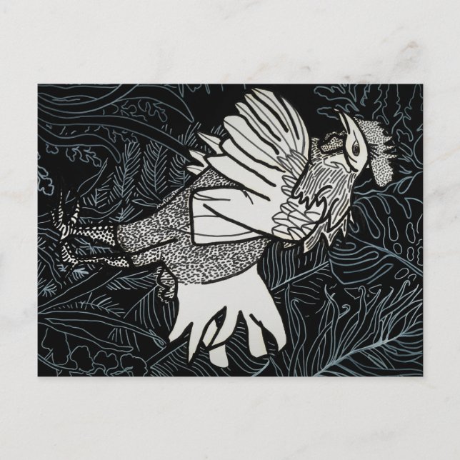 Postal Pollo 3 (Anverso)