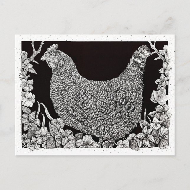 Postal Pollo Barred Rock (Anverso)